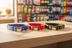 Three leather dog collars in blue, red, and olive green with silver metal buckles, displayed on a light wood counter in a store setting.