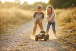 Toy Shark Alloy RC Off-Road Climbing Trucks Wholesale