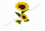 Two sunflowers with a measurement label on a gradient background