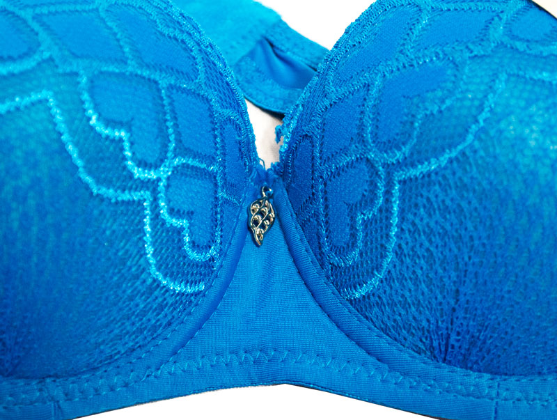 Ladies Full Cup Coverage Sexy Lace Bras - Dallas General Wholesale