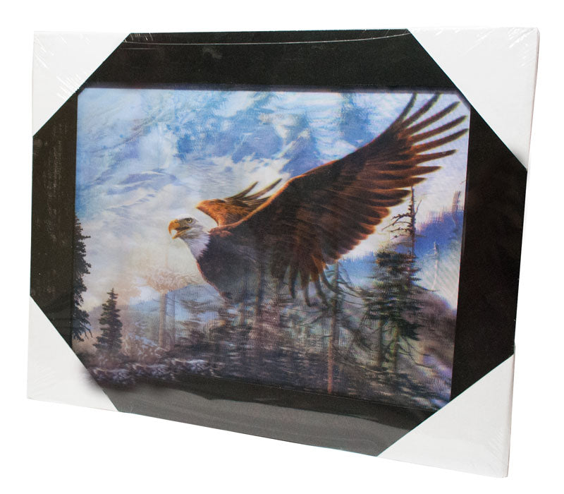 3D Picture of Flying Eagle with Frame Wholesale - Dallas General Wholesale