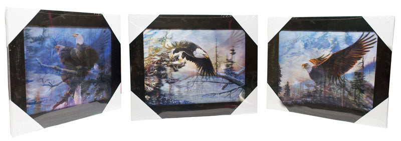 3D Picture of Flying Eagle with Frame Wholesale - Dallas General Wholesale