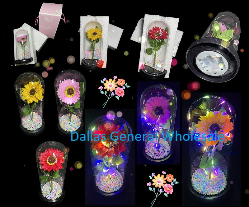 Enchanted Light Up Sunflower in Glass Display Wholesale