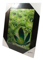Marijuana Bikini Girl 3D Picture Frames Wholesale - Dallas General Wholesale