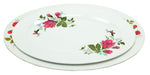 Oval Shaped Plates - Dallas General Wholesale