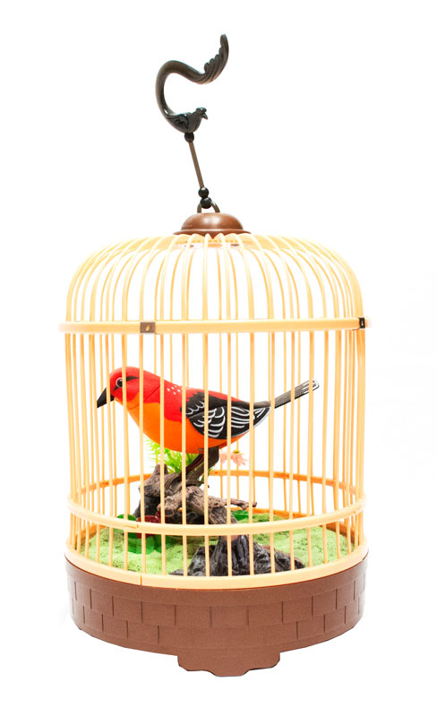 Sound & Motion Activated Singing Birds Wholesale - Dallas General Wholesale