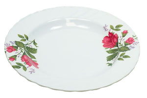 Round Plastic Plates - Dallas General Wholesale
