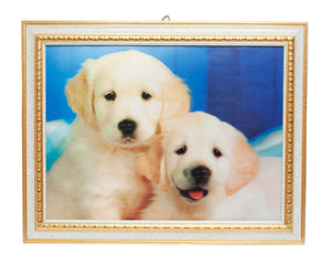 3D Picture of Dog with Frame - Dallas General Wholesale